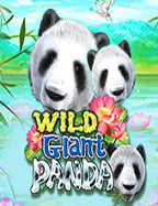 สนุกกับการดาวน์โหลด pg ios และวิธีเล่นง่ายๆ